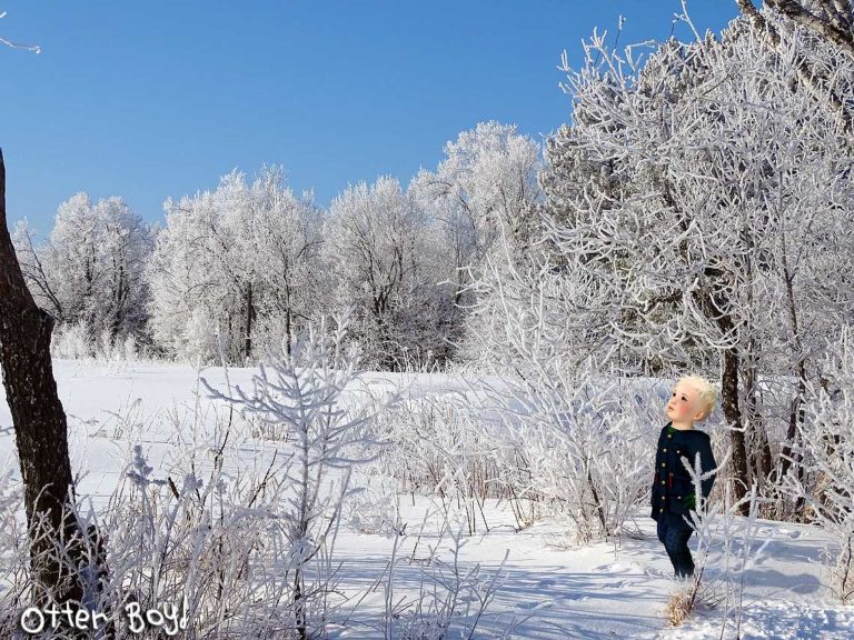 Otter Boyd walking in the snow