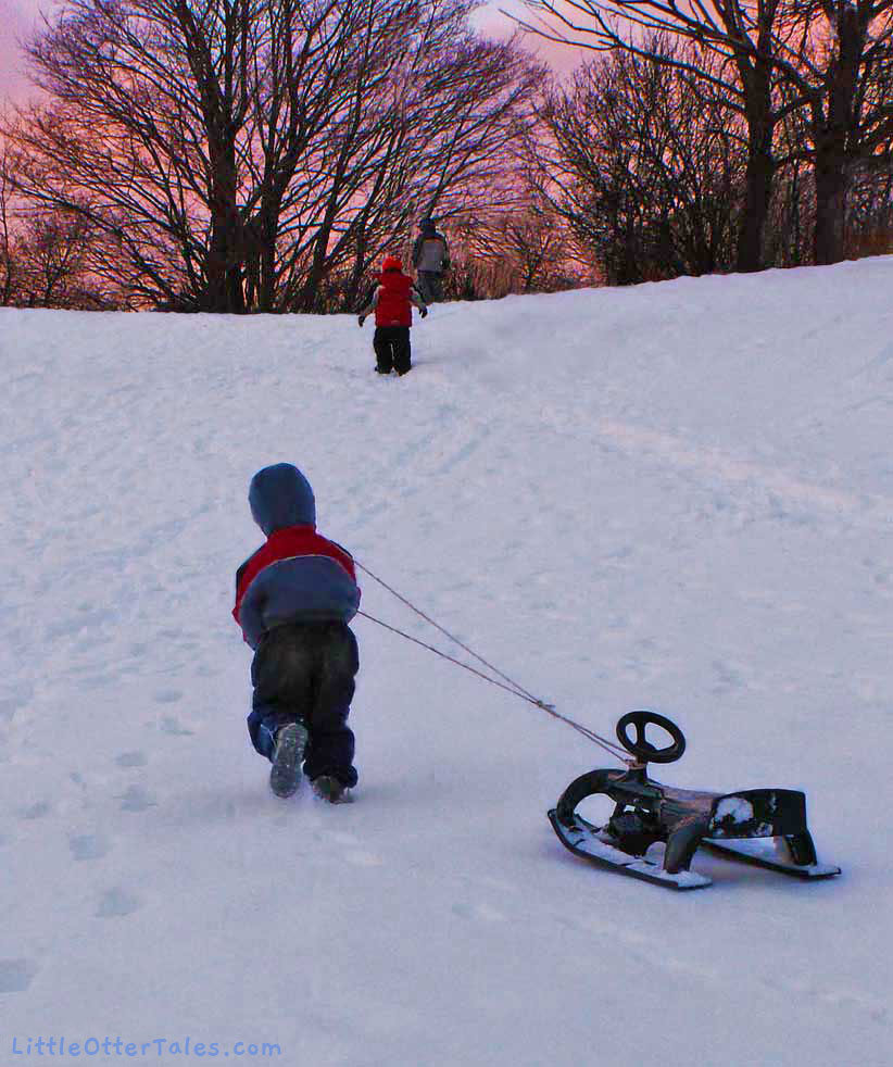 boys on toboggan hill at twilight