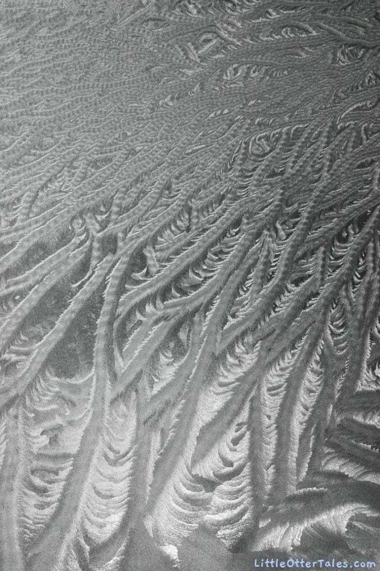 feathery frost on window