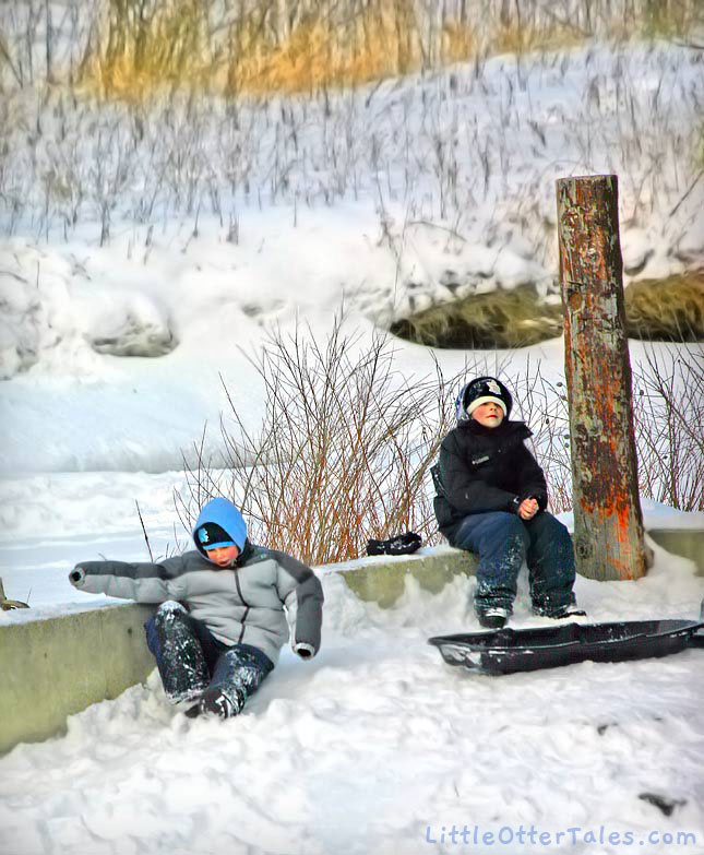 sledding boys resting in snow