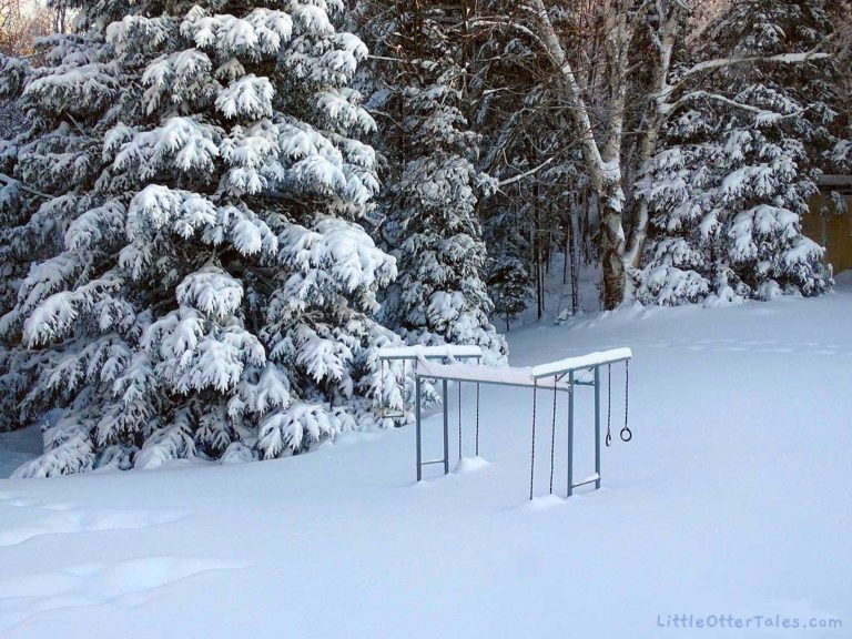 snow on backyard playground