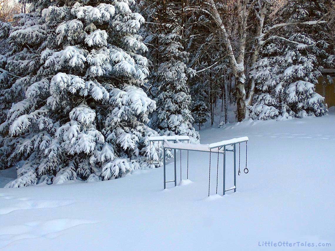 snow on backyard playground