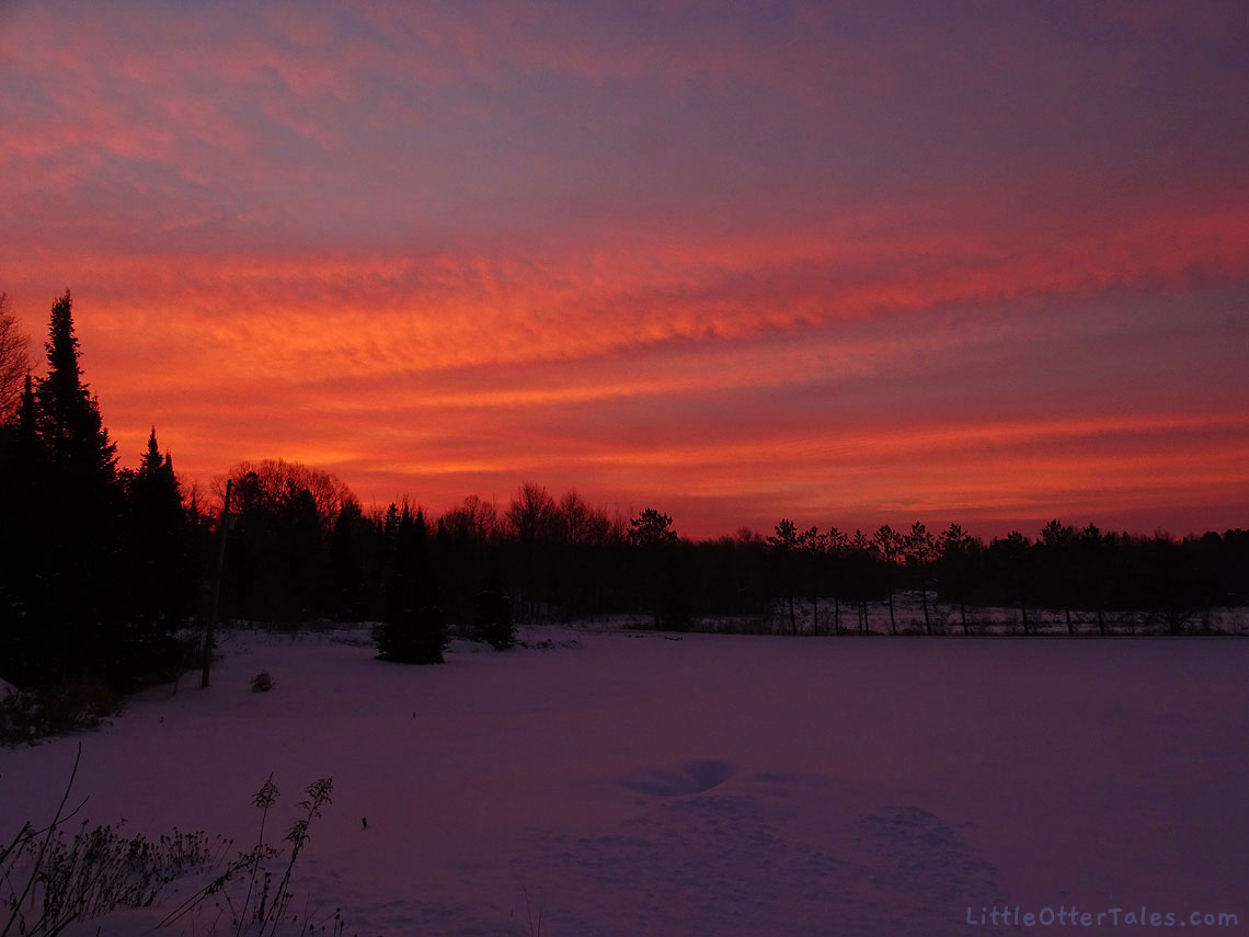winter dawn over the fields