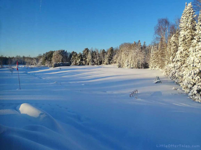 winter landscape view of fields