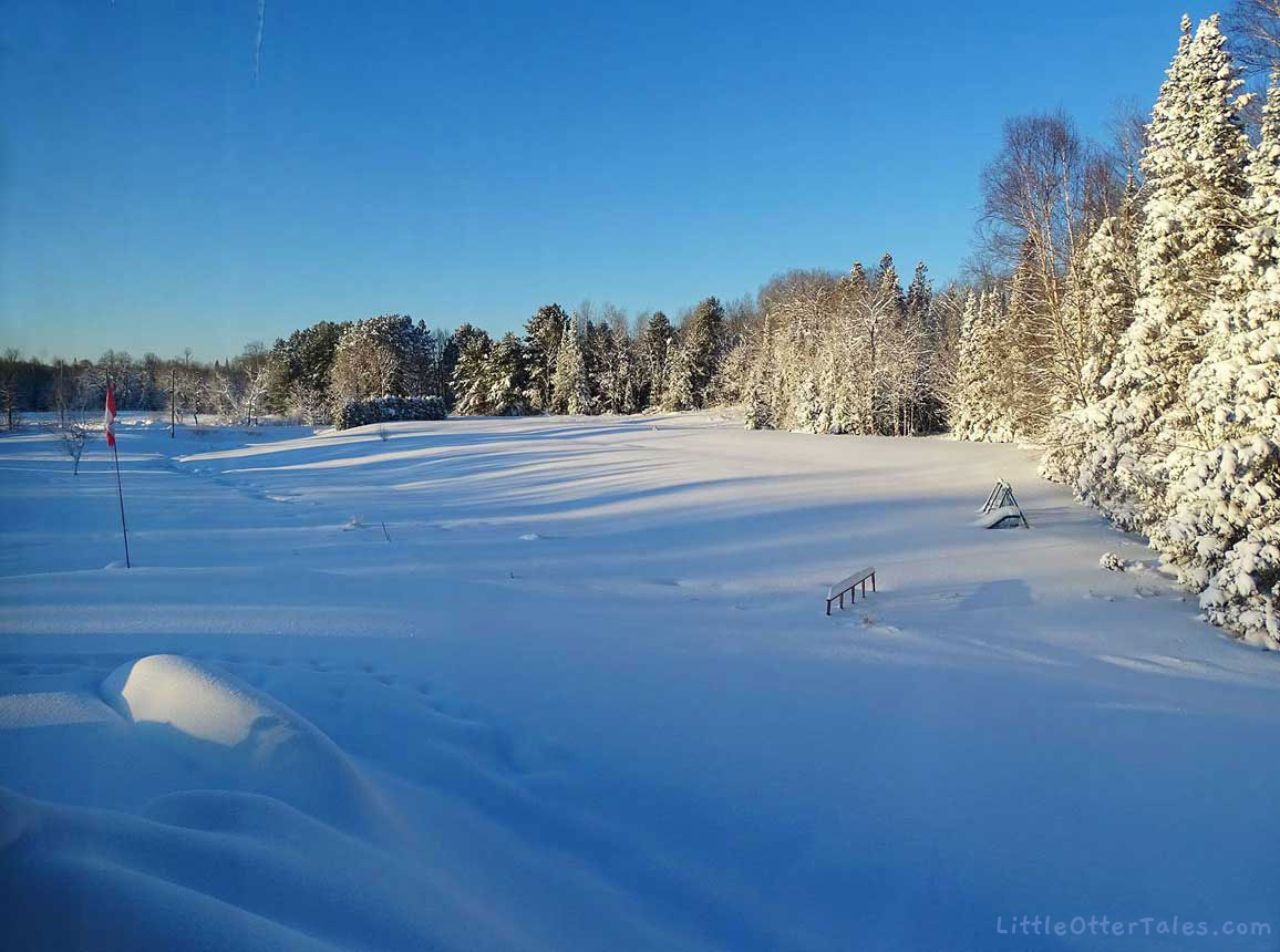 winter landscape view of fields