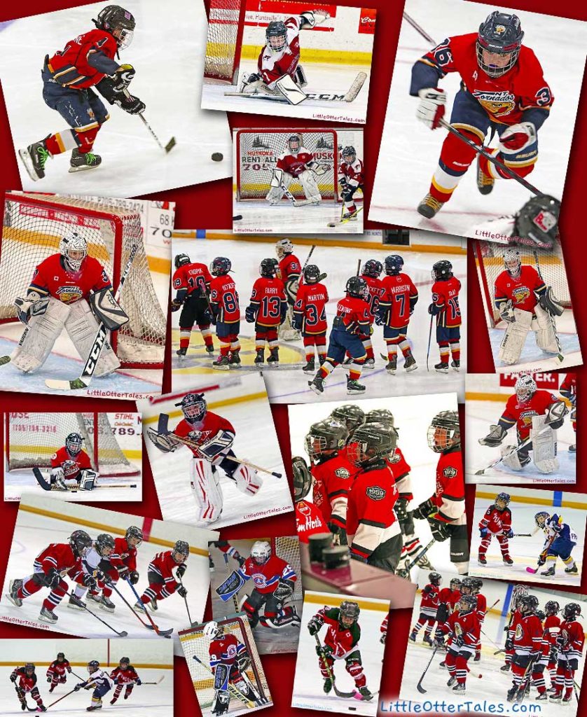 boys hockey colllage - red teams