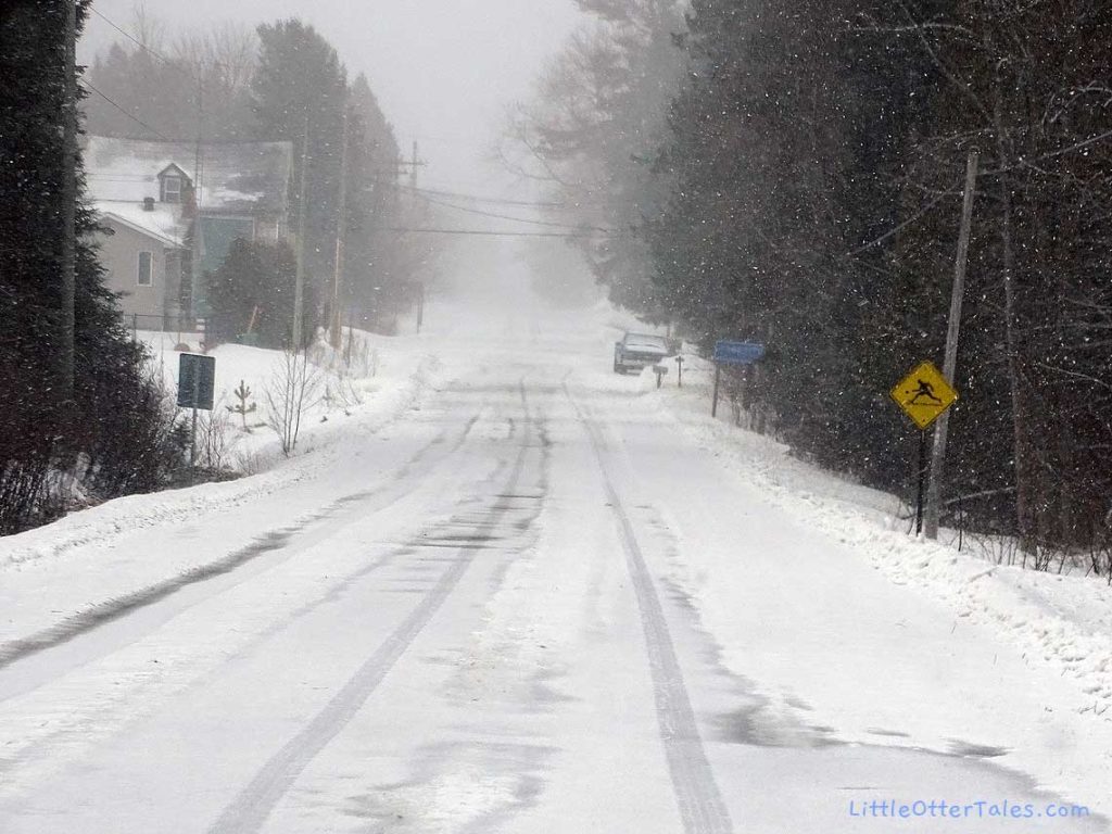 driving home in white-out snow storm