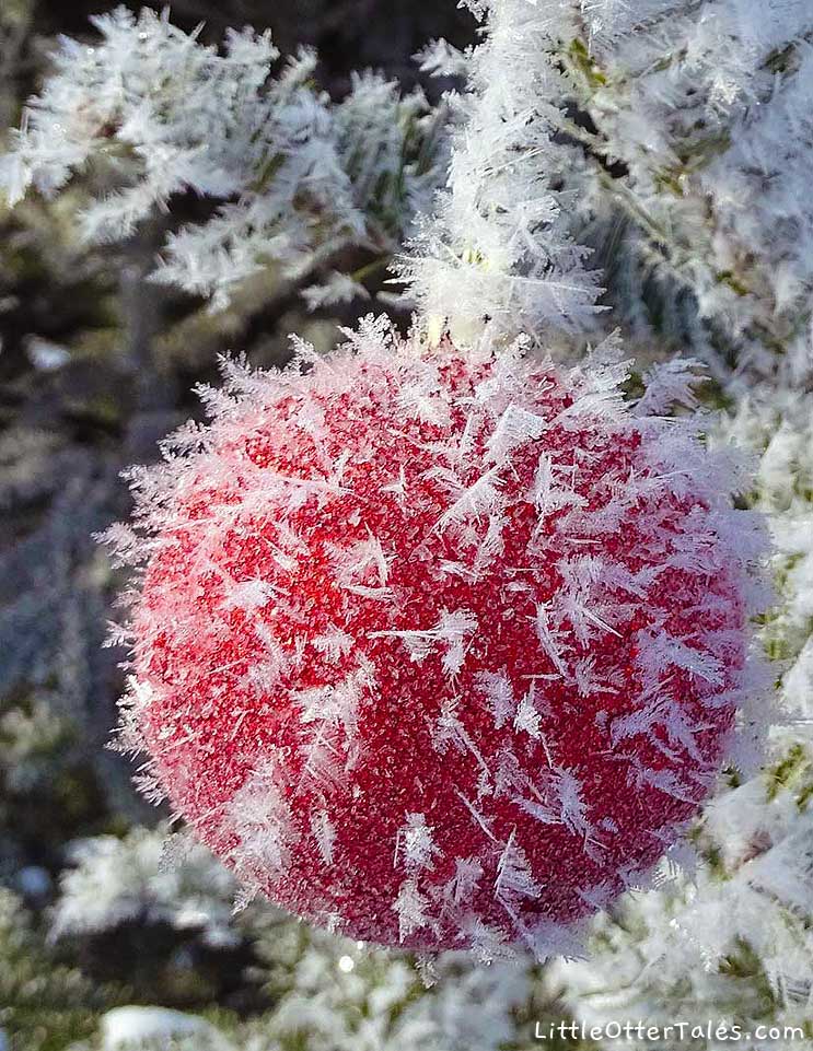 frost on red ball Christmas decoration
