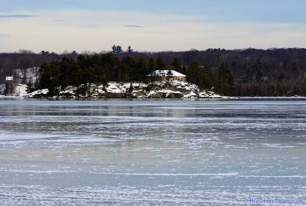 house on frozen Lake Muskoka