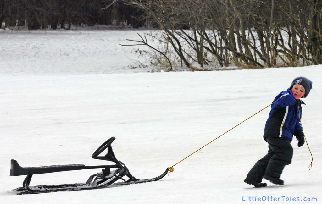 little boy pulling snow sled with rope