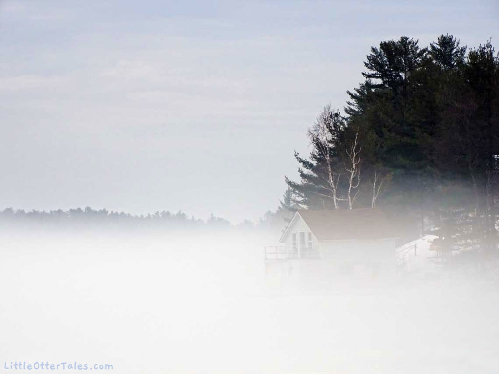 winter morning mist at lake boathouse