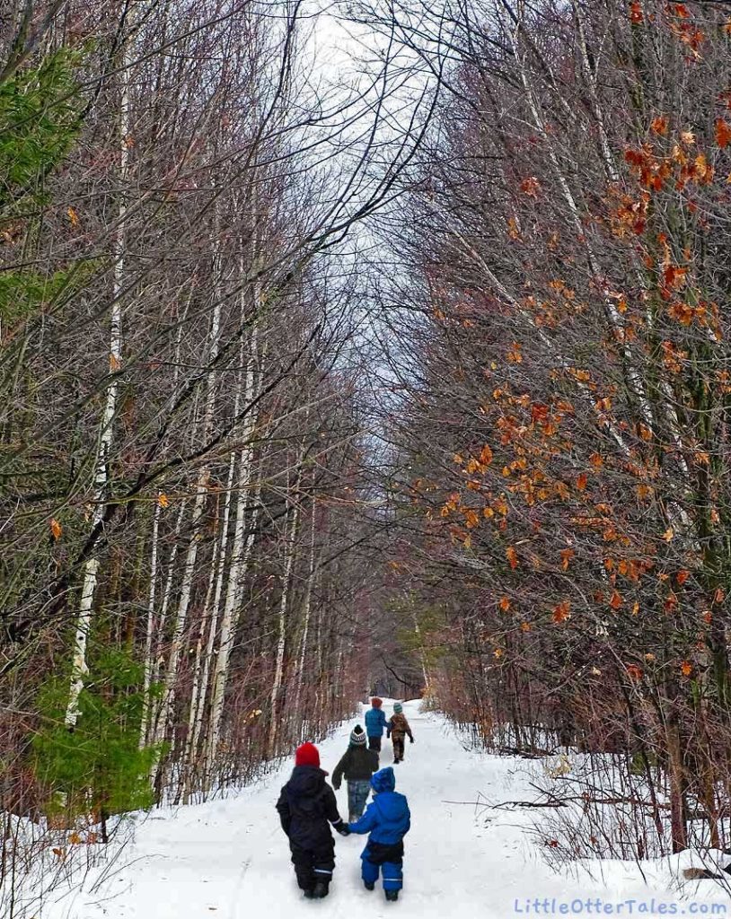 winter walk in the woods with the boys